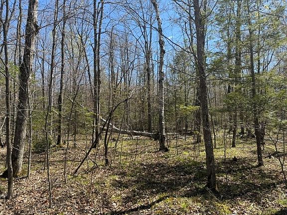 4th image of LOT 5 Bluebird Trl