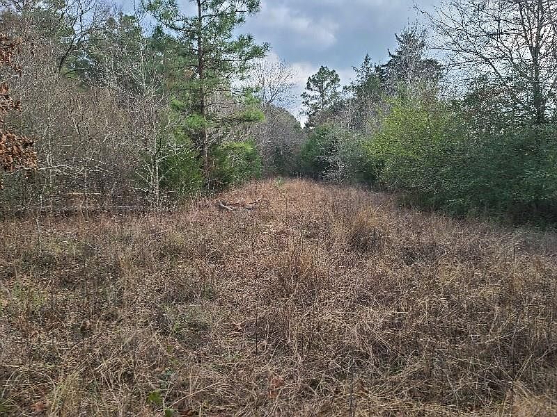 1st image of 4500 N Fm 225