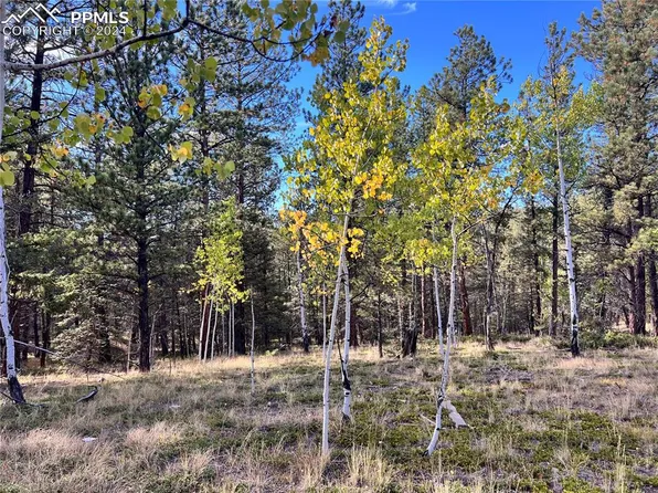 21 Kiowa Creek Trl, Florissant, CO 80816