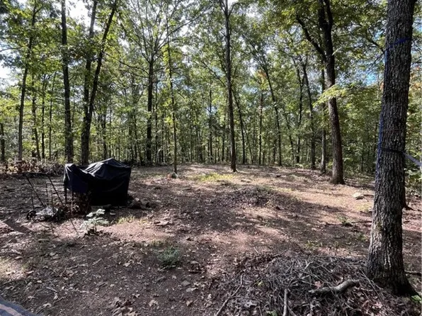 Nc #8659, Jasper, AR 72641