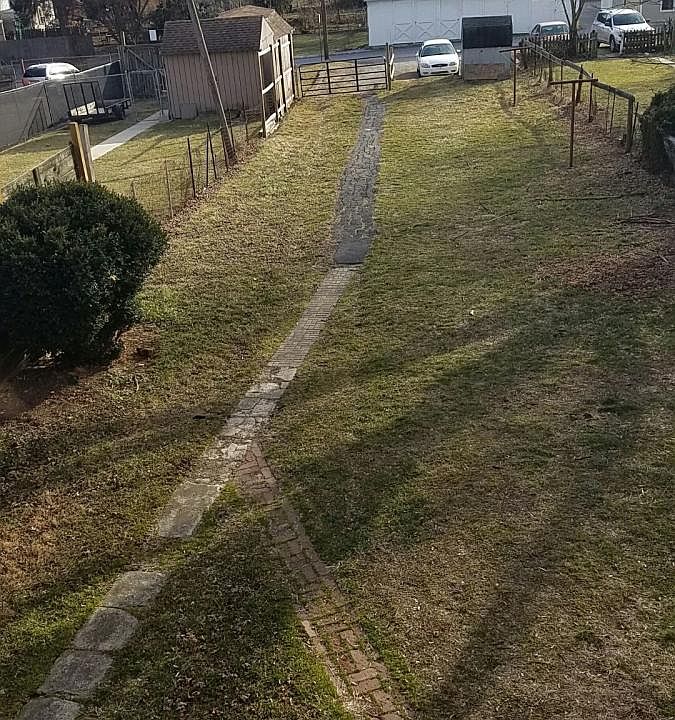 Shared Backyard