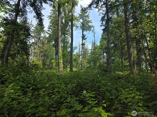 29615 Orting Kapowsin Highway E, Graham, WA 98338