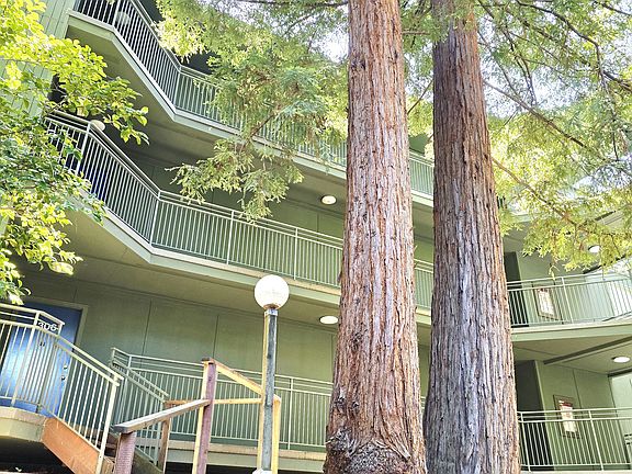 3rd image of 2700 Le Conte Ave APT 306