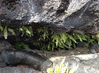 LOT 339, Pahoa, HI 96778