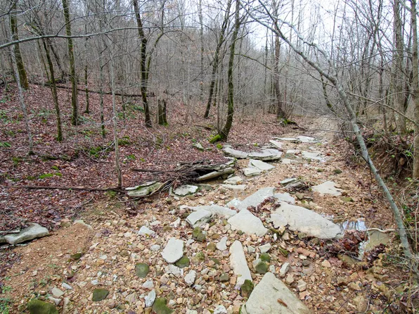 0 Elvis Inman Rd, Linden, TN 37096