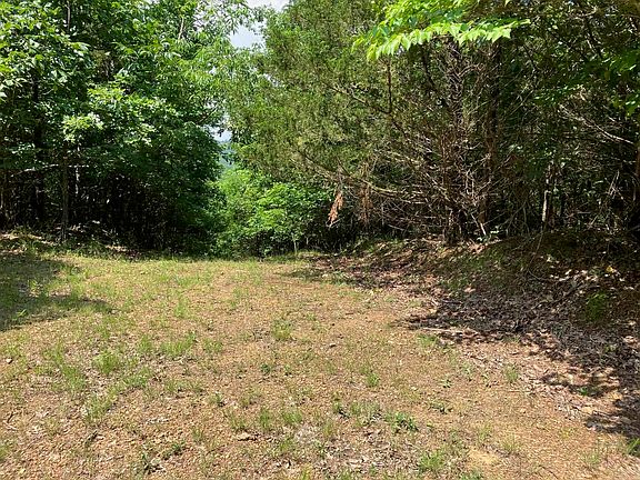 5th image of TRACT 5 Thompson Creek Ln