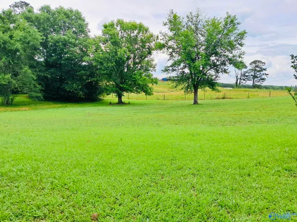 25 Silver Lake Blvd E, Glencoe, AL 35905