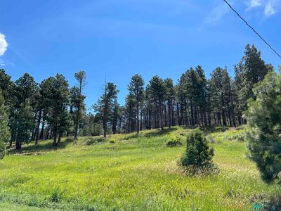 77 Pendaries Village Ln, Rociada, NM, 87742