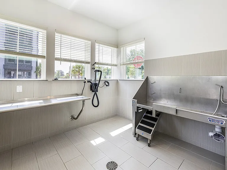 Pet Wash Room
