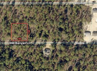 24309 NW Banyan Ln Lot 57, Dunnellon, FL 34431