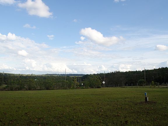 View from the front porch