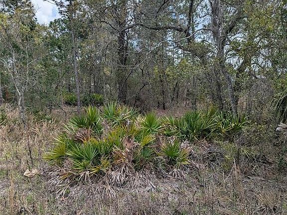 4th image of 0 Mazette Rd #1