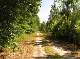 250 Homer Daniel Rd, Claxton, GA 30417