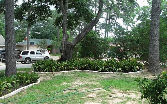 FRONT TREES & BEDS TO LEFT FROM DRIVE WAY