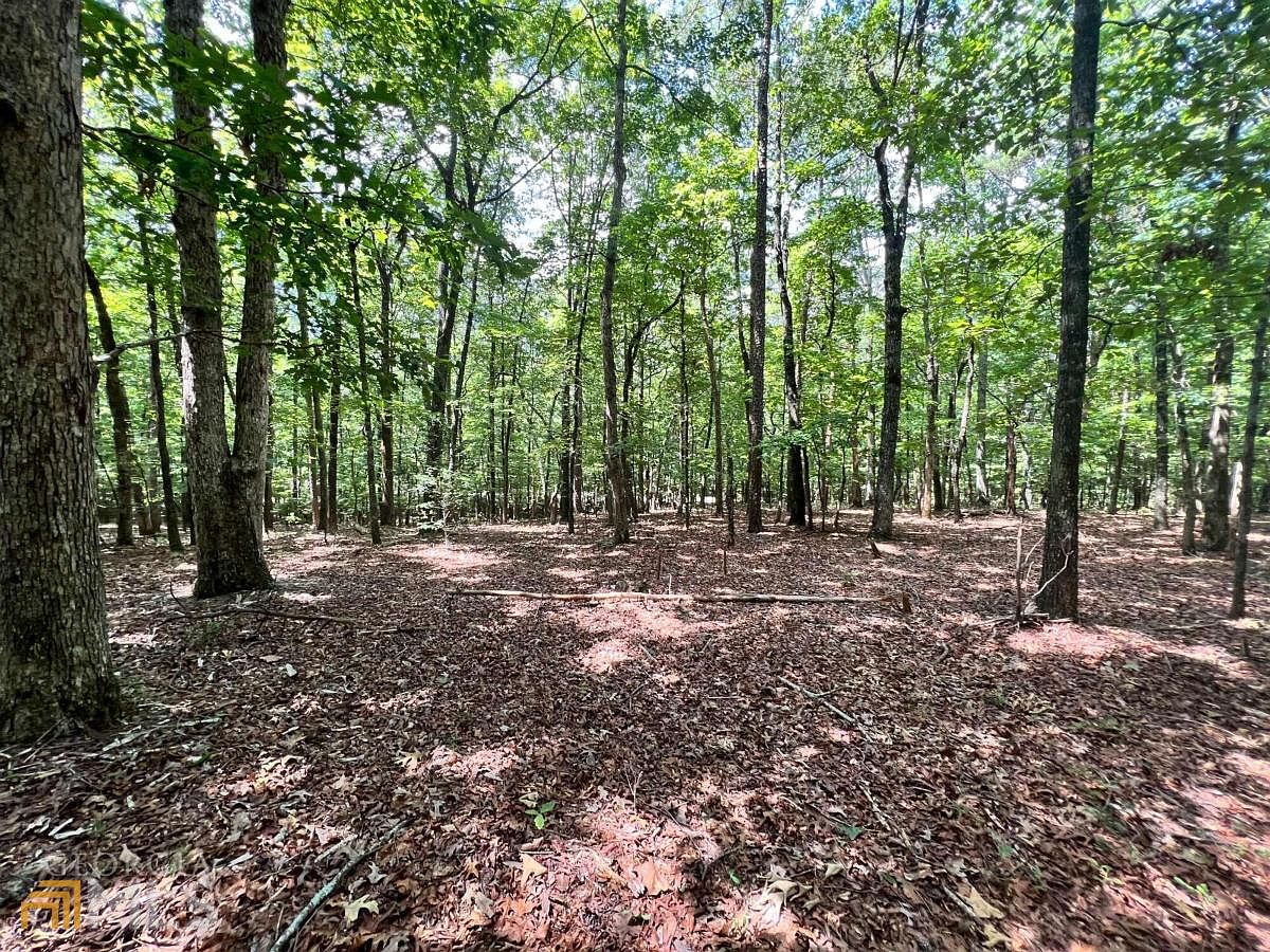 14 Fern Park Dr, Dawsonville, GA 30534 Zillow