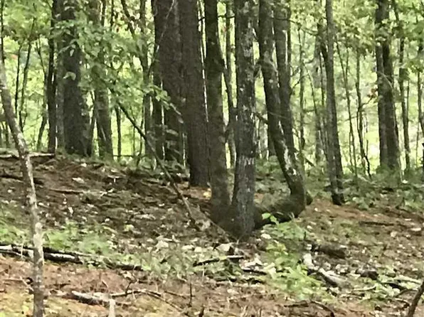 Zodiac Dr #75, Alpine, AL 35014