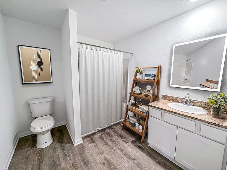 Guest Full Bathroom