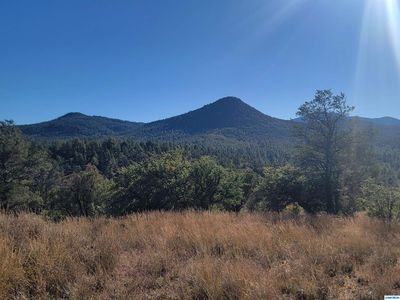 56 N Fork Walnut Creek Rd, Silver City, NM, 88061