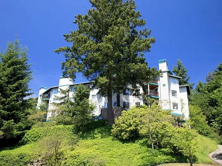9200 Redmond Place — Photo 4