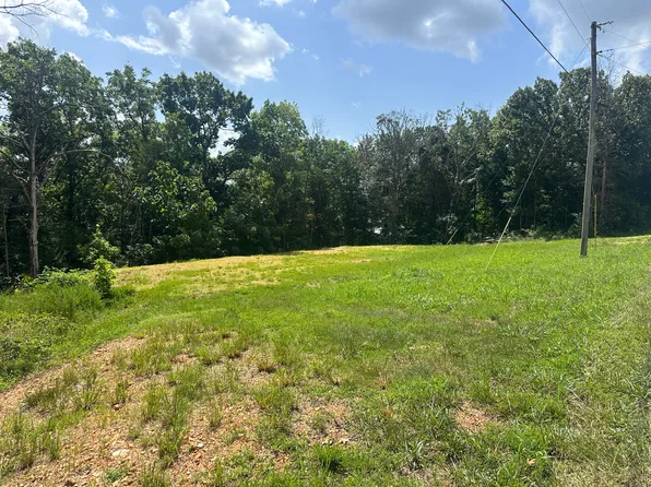 234 Goldfinch Lane, Shell Knob, MO 65747