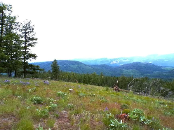B Vista View Ln, Kettle Falls, WA 99141