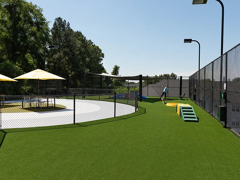 Bark Park