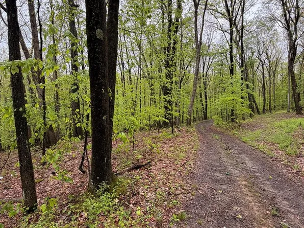 318 Upper Lease Rd W, Tidioute, PA 16351