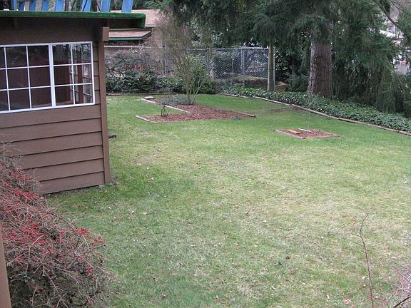 Large, fenced backyard