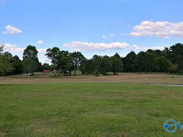 388 Turney Rd, Somerville, AL 35670