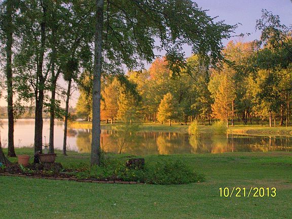 Fall View
