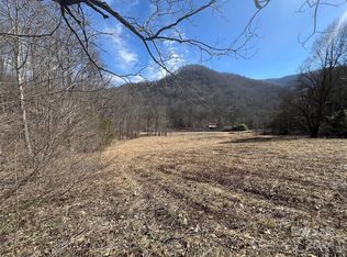 7374 Meadow Fork Rd, Hot Springs, NC 28743