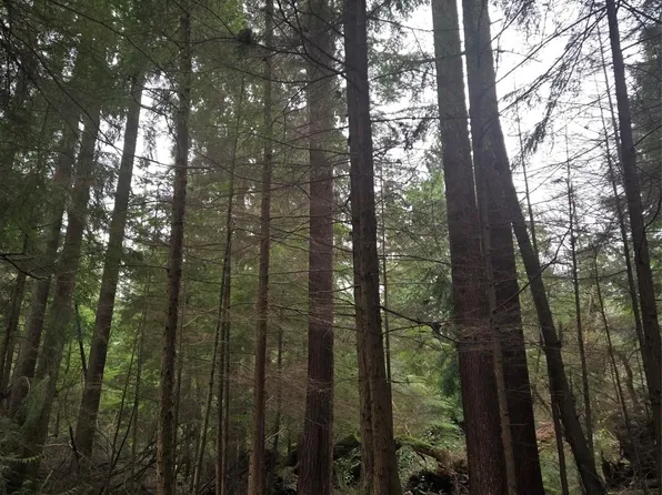 13302 SE Petrovitsky Road, Renton, WA 98058