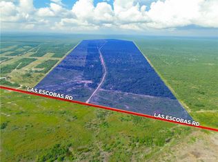 0 Las Escobas Rd, Roma, TX 78584