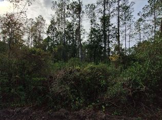 0 E Saint Johns St, Palatka, FL 32177