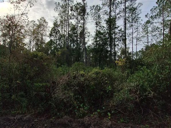 0 E ST JOHNS Street, Palatka, FL 32177
