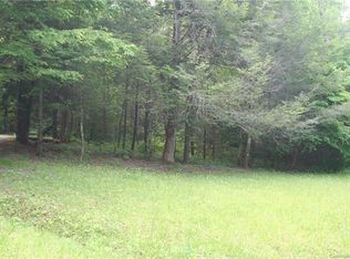 9999 Nc Hwy 9 Nc Hwy 9 Hwy, Black Mountain, NC 28711