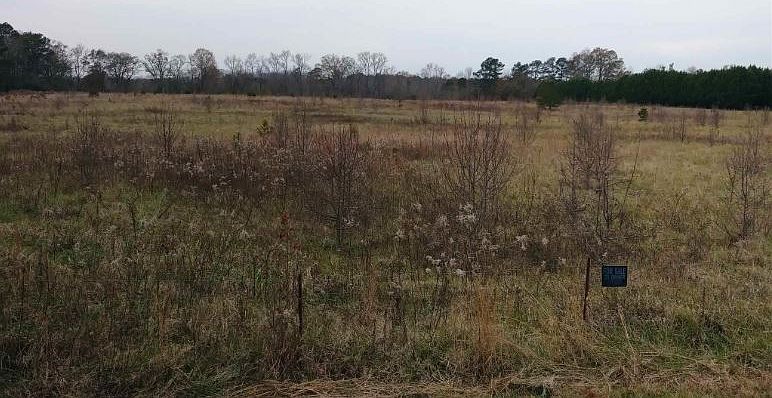 2nd image of 2761 Chandler Rd
