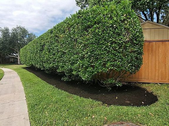 Well manicured cul-de-sac 