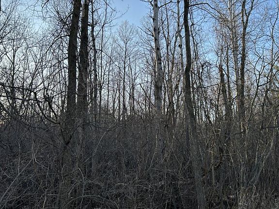 2nd image of Koch Rd