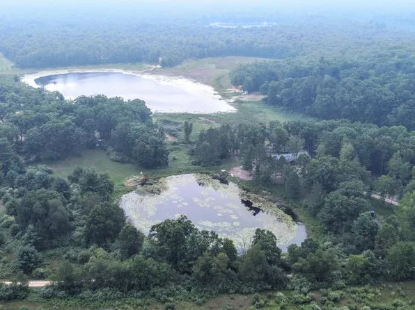 10921 N Pine Grove Ln, Bitely, MI 49309