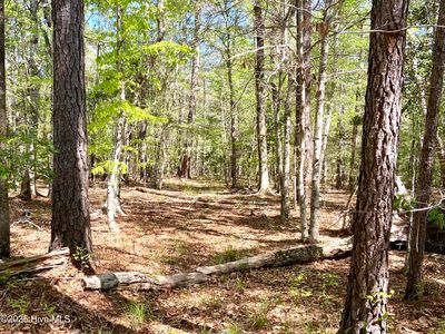 Lot 2 Berrys Creek Road, Beaufort, NC, 28516