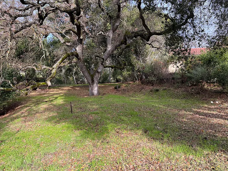 10320 Rolly Rd — Photo 17