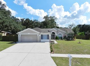10703 Deepbrook Dr, Riverview, FL 33569