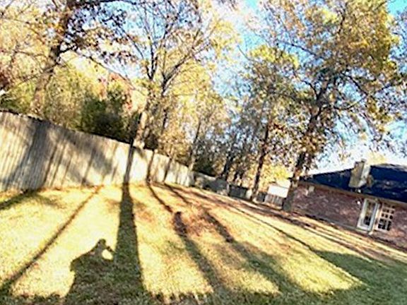 2nd image of 19 Walden Ct