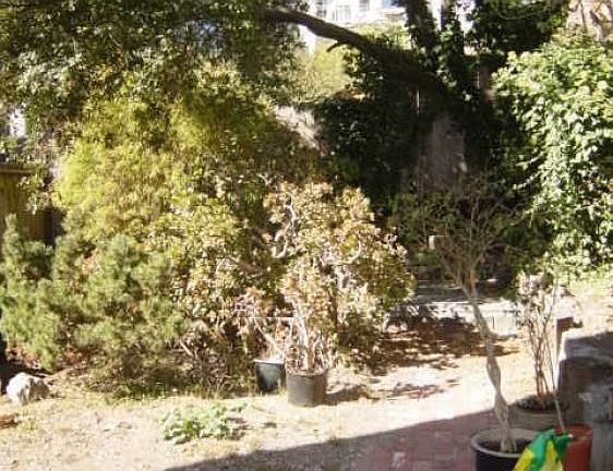 3rd image of 1064 Fell St