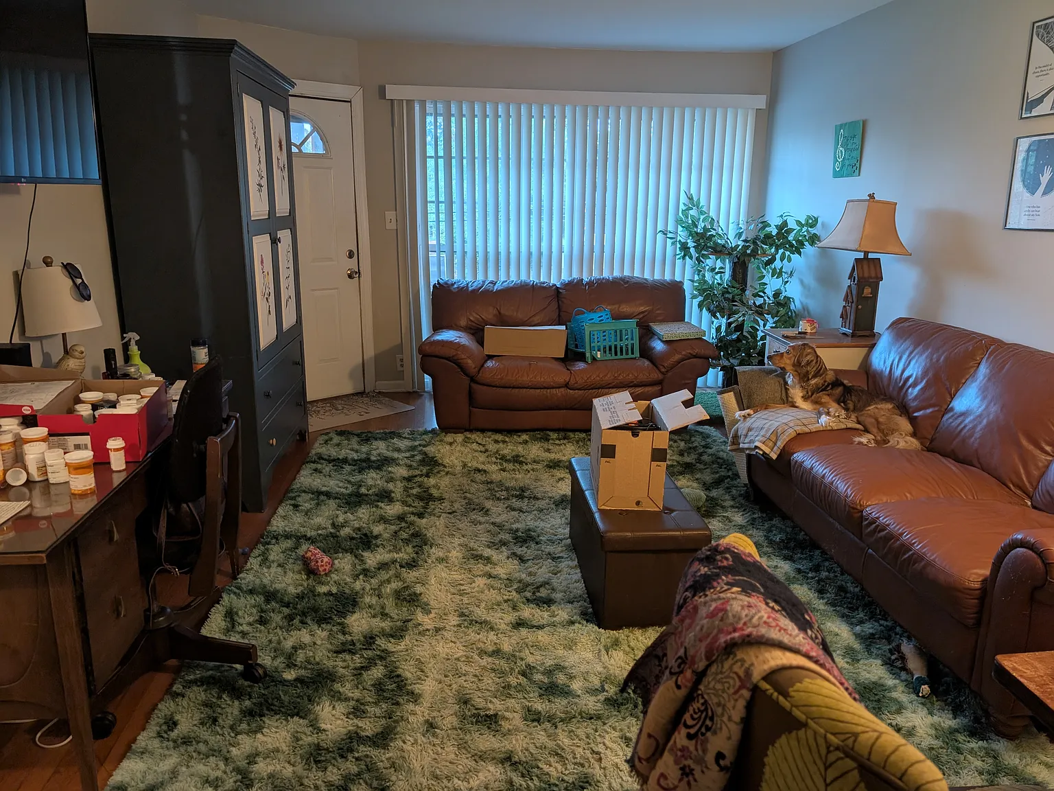 2 bed, 800 sqft, $1,450 — Photo 3