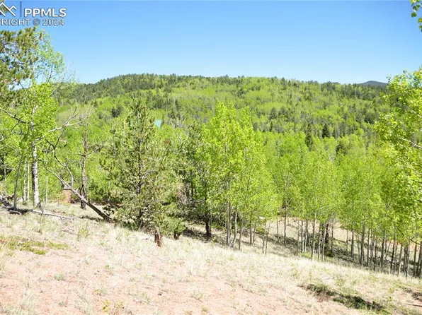 81 Strong Ct, Cripple Creek, CO 80813
