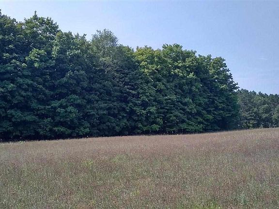 2nd image of 0 Whitetail Woods