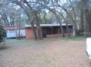 507 S Parsons Ave, Seffner, FL 33584