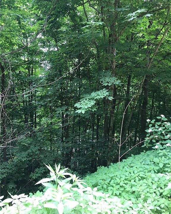 1st image of 59 Kitty Ln